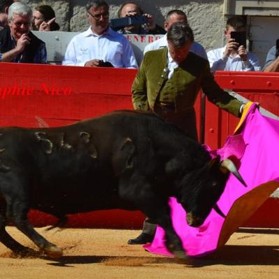 Nîmes : Tentadero de macho Terre d'Aficion, Dimanche 10 Avril