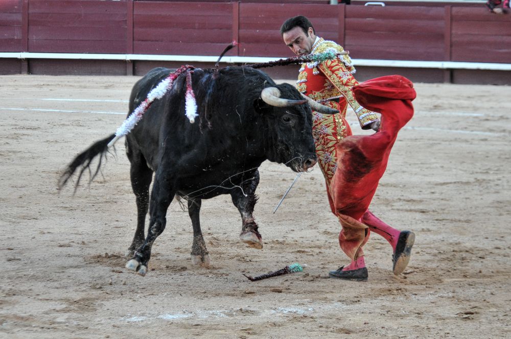 2016cordimamistres (100)