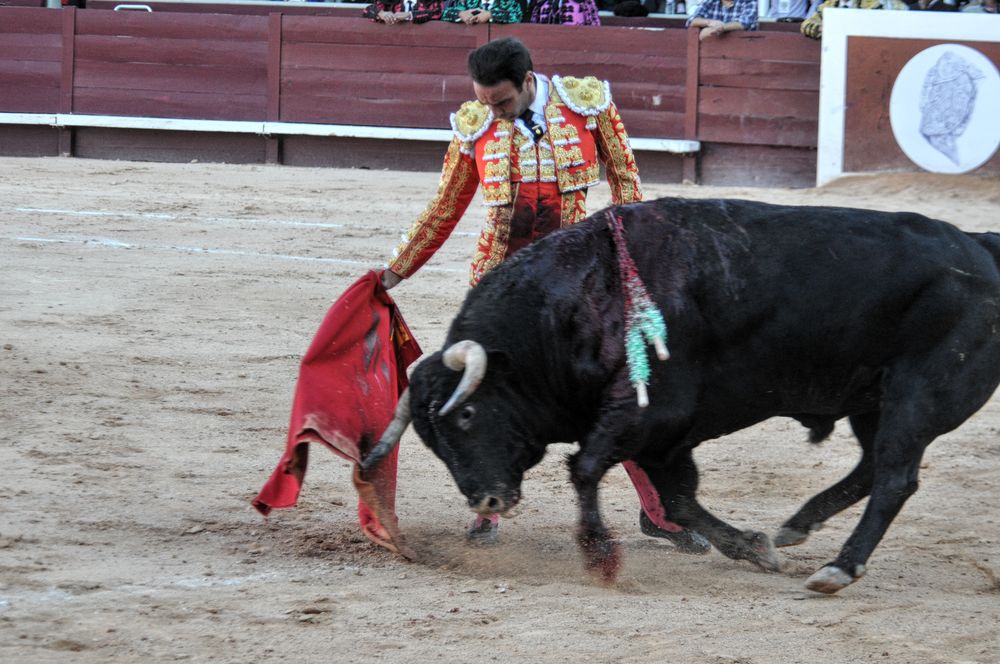 2016cordimamistres (103)