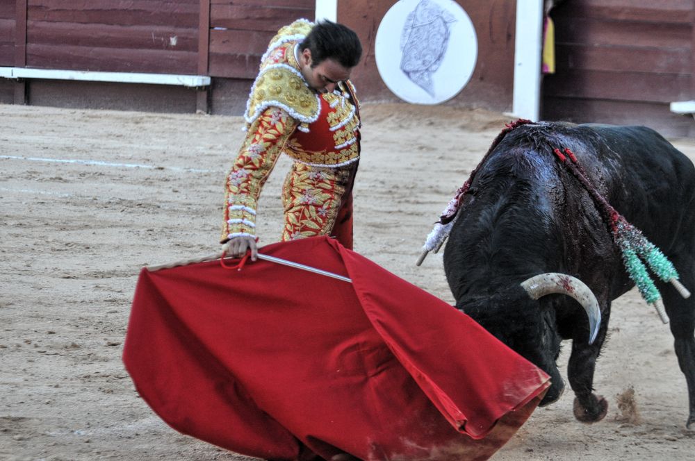 2016cordimamistres (106)