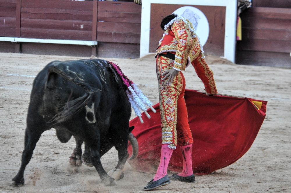 2016cordimamistres (107)