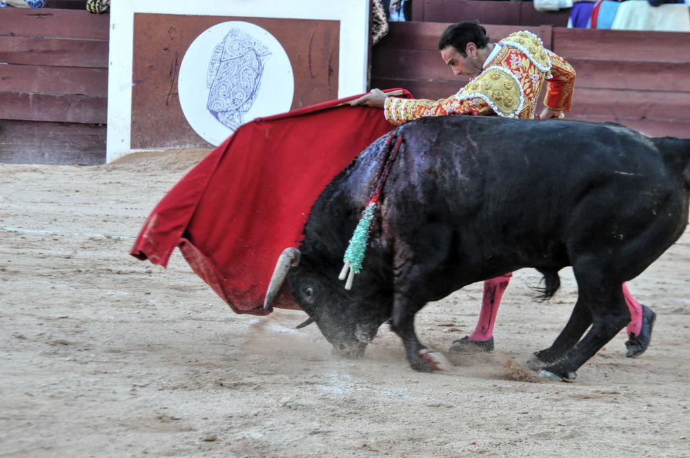 2016cordimamistres (108)