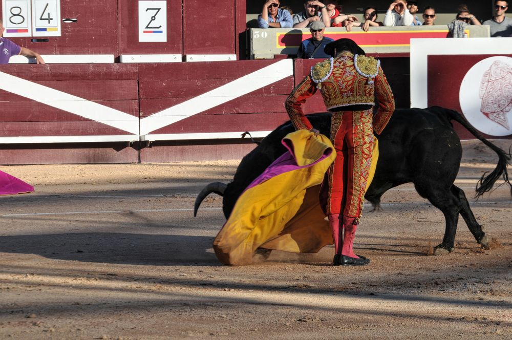 2016cordimamistres (111)