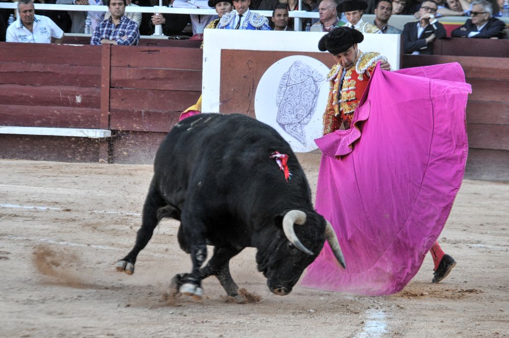 2016cordimamistres (117)