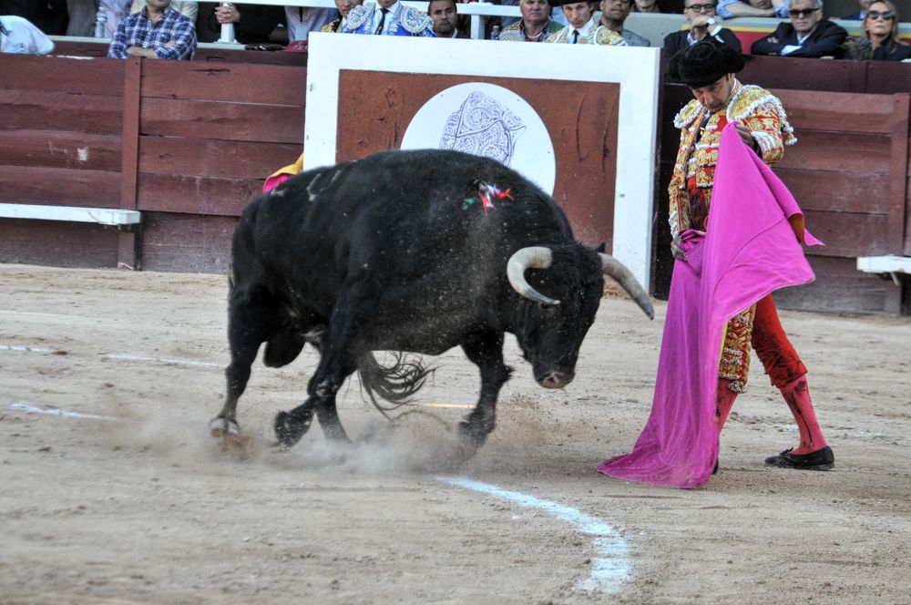 2016cordimamistres (118)