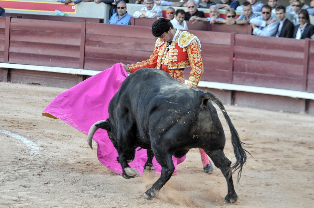 2016cordimamistres (119)