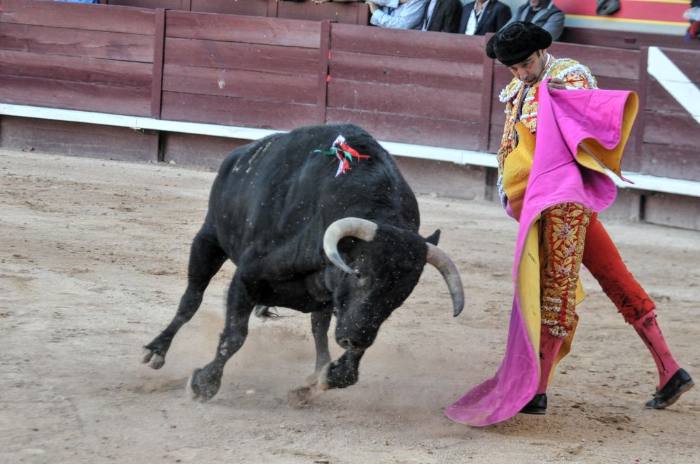 2016cordimamistres (120)