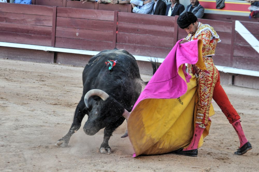 2016cordimamistres (121)