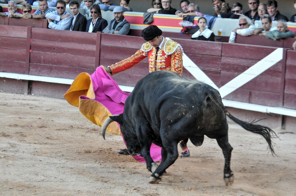 2016cordimamistres (122)