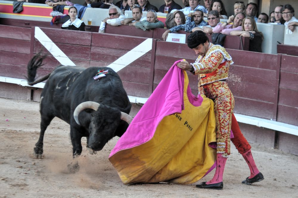 2016cordimamistres (123)