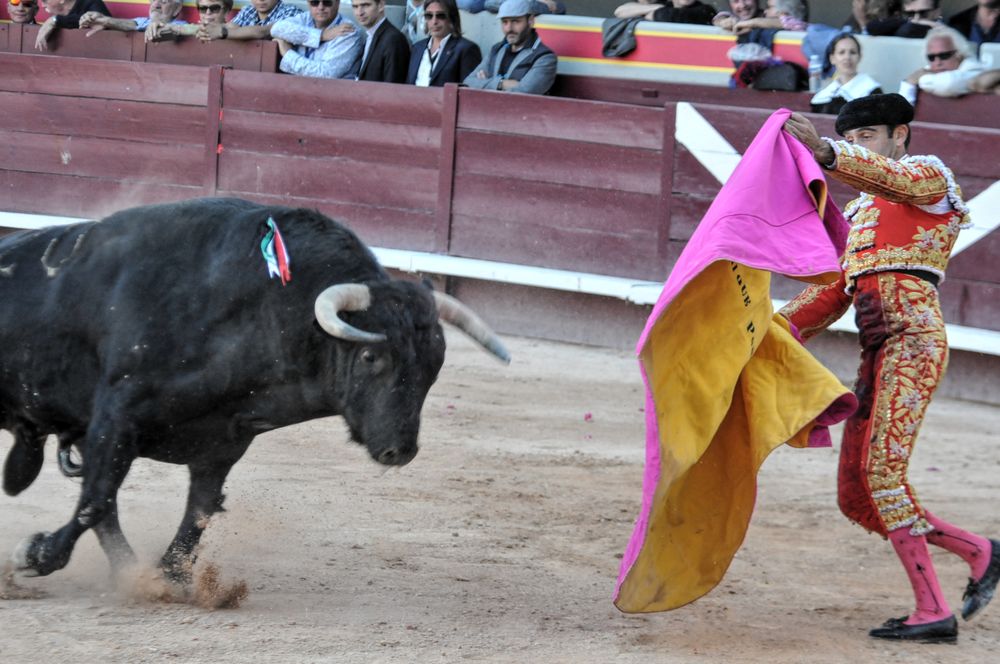 2016cordimamistres (124)