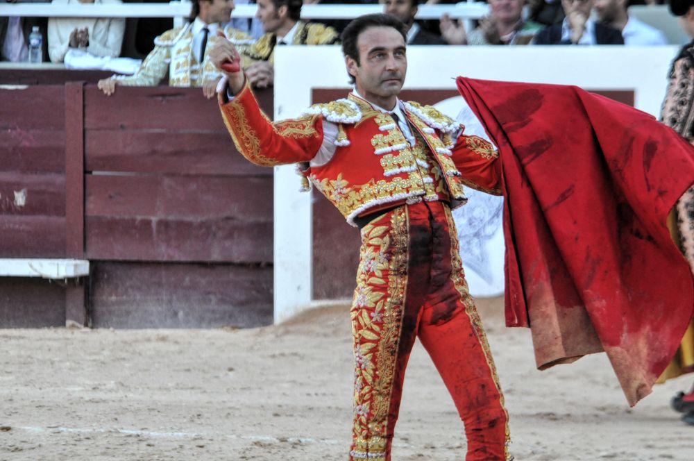 2016cordimamistres (13)
