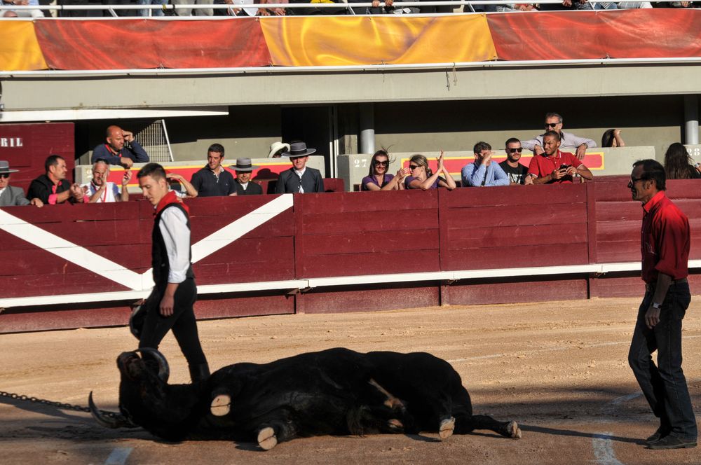 2016cordimamistres (143)