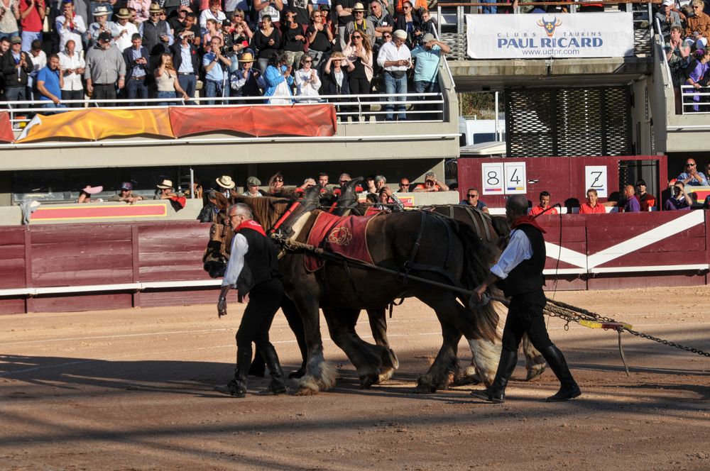 2016cordimamistres (144)