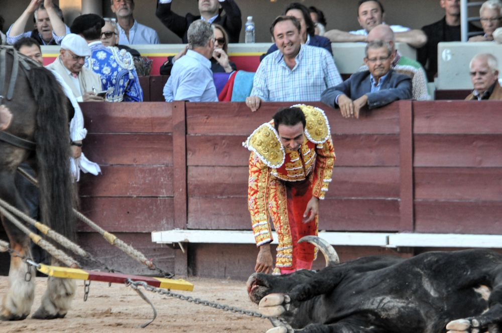 2016cordimamistres (146)