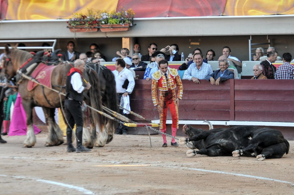 2016cordimamistres (148)