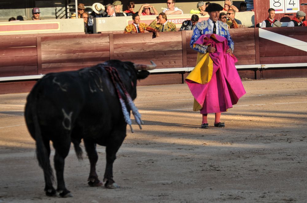 2016cordimamistres (15)
