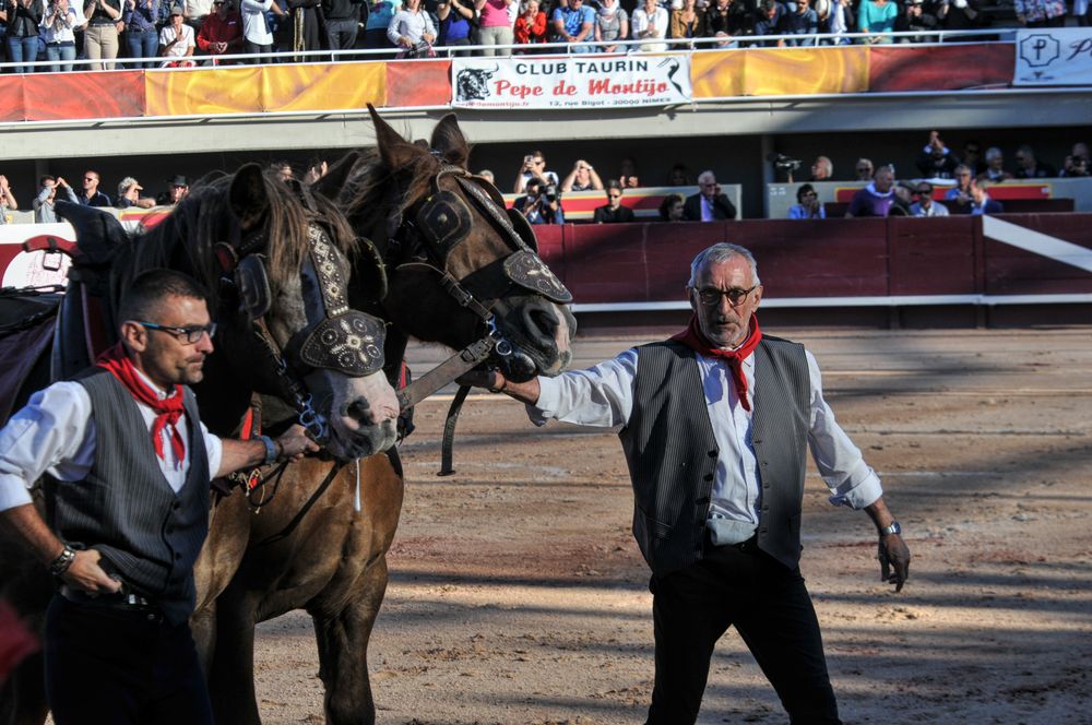 2016cordimamistres (150)