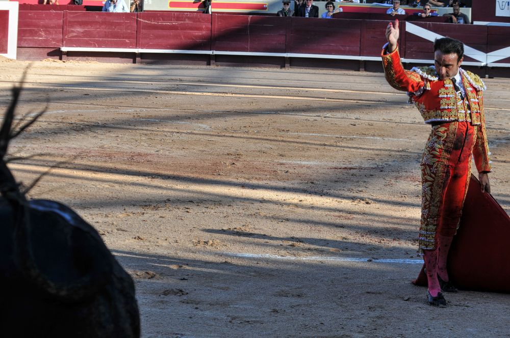 2016cordimamistres (160)