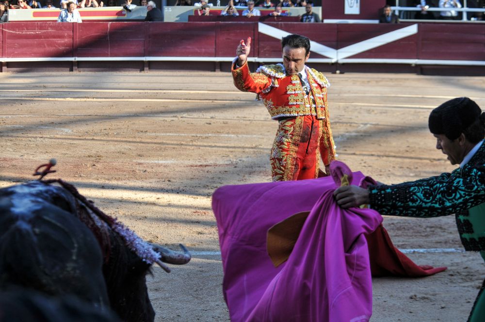 2016cordimamistres (165)