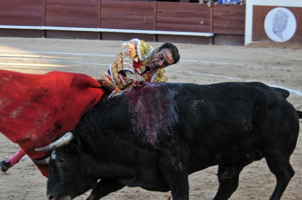 2016cordimamistres (166)