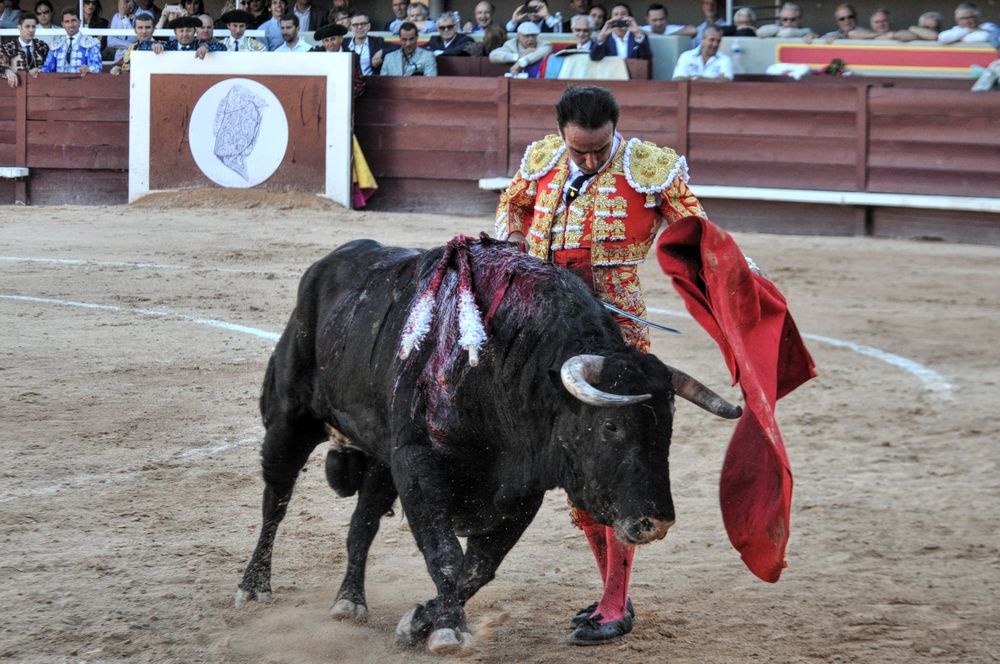 2016cordimamistres (167)