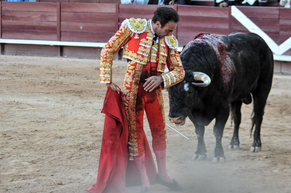 2016cordimamistres (169)