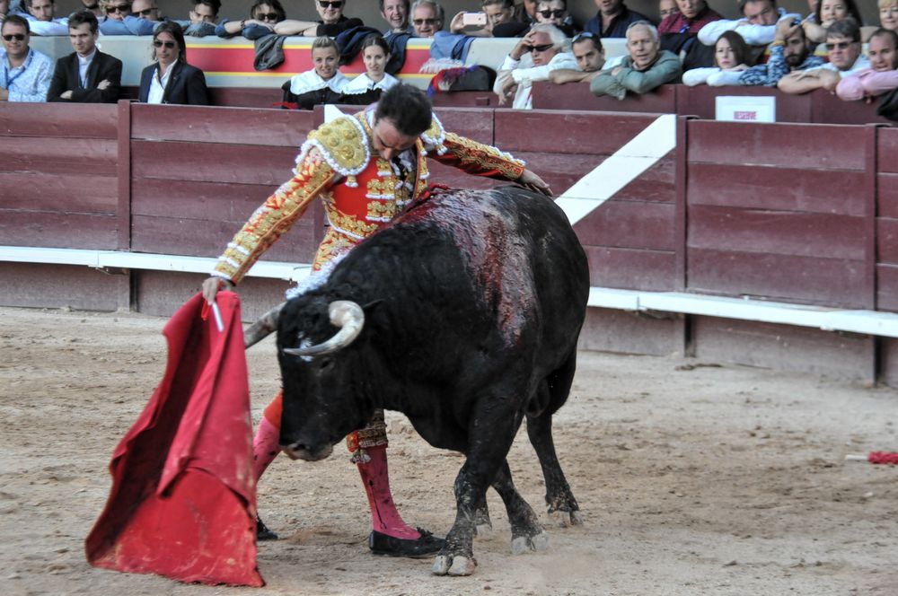 2016cordimamistres (171)