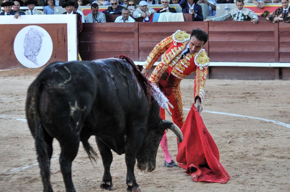 2016cordimamistres (173)