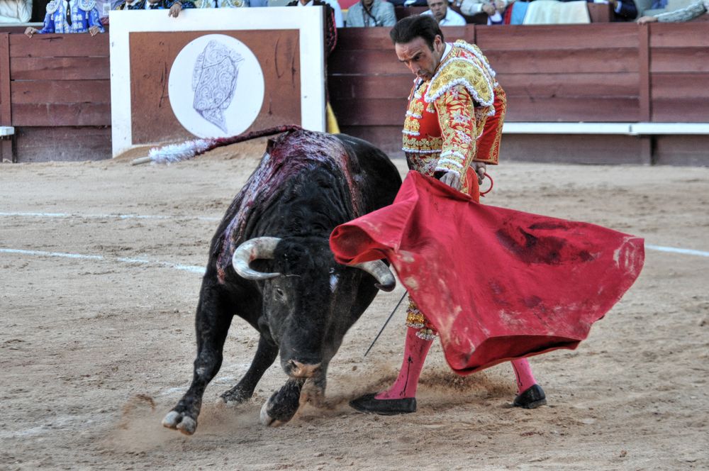 2016cordimamistres (174)