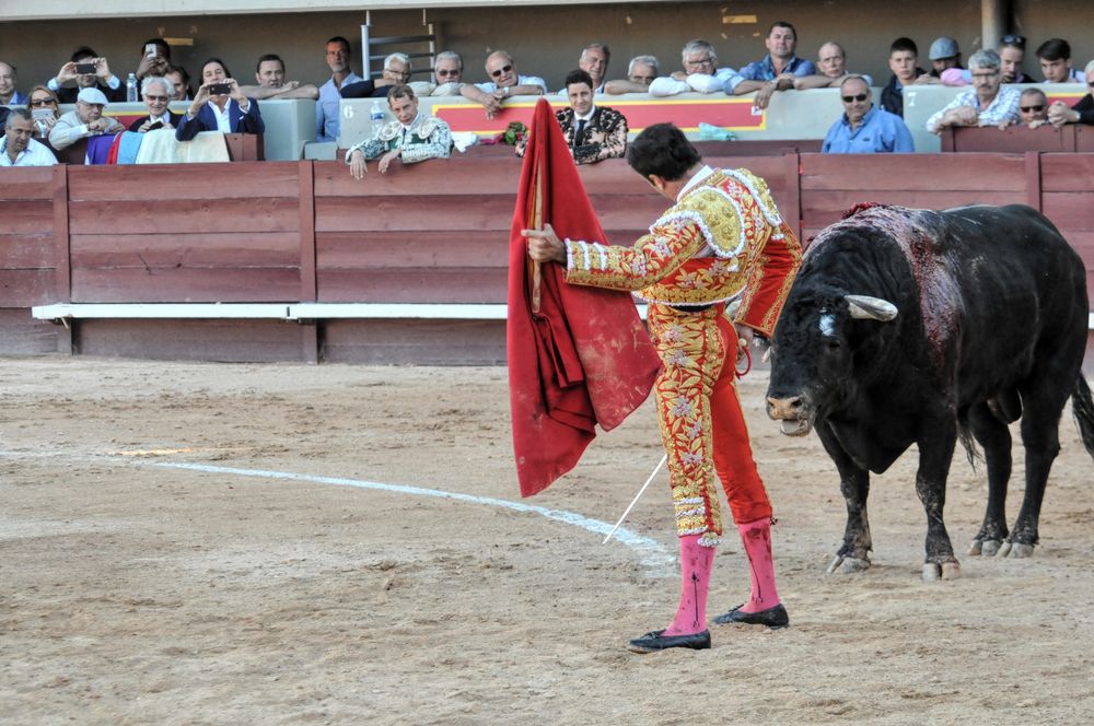 2016cordimamistres (176)