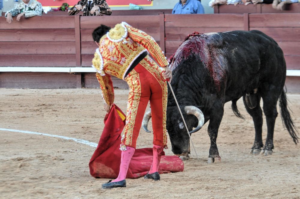 2016cordimamistres (177)