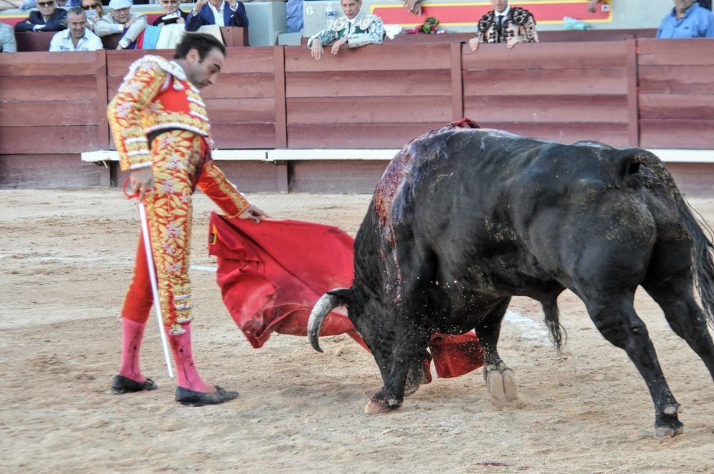 2016cordimamistres (178)