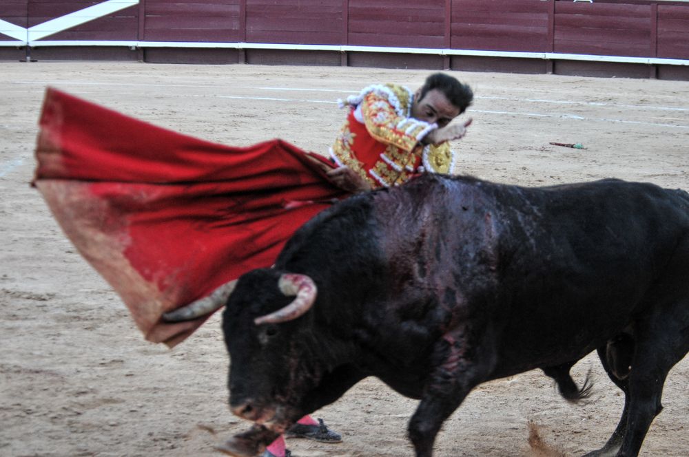 2016cordimamistres (18)