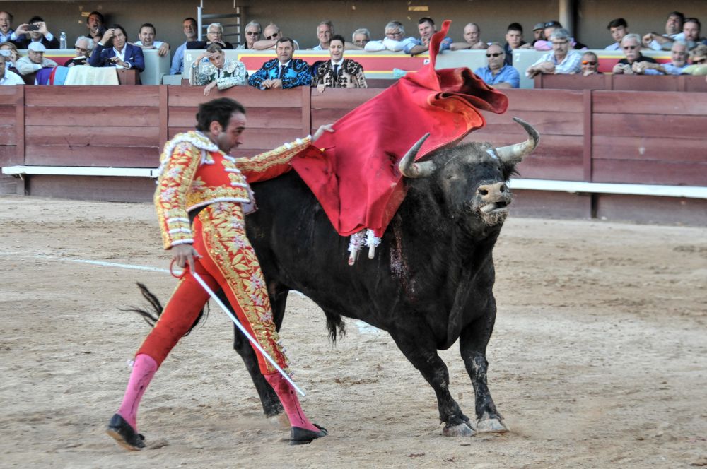 2016cordimamistres (183)