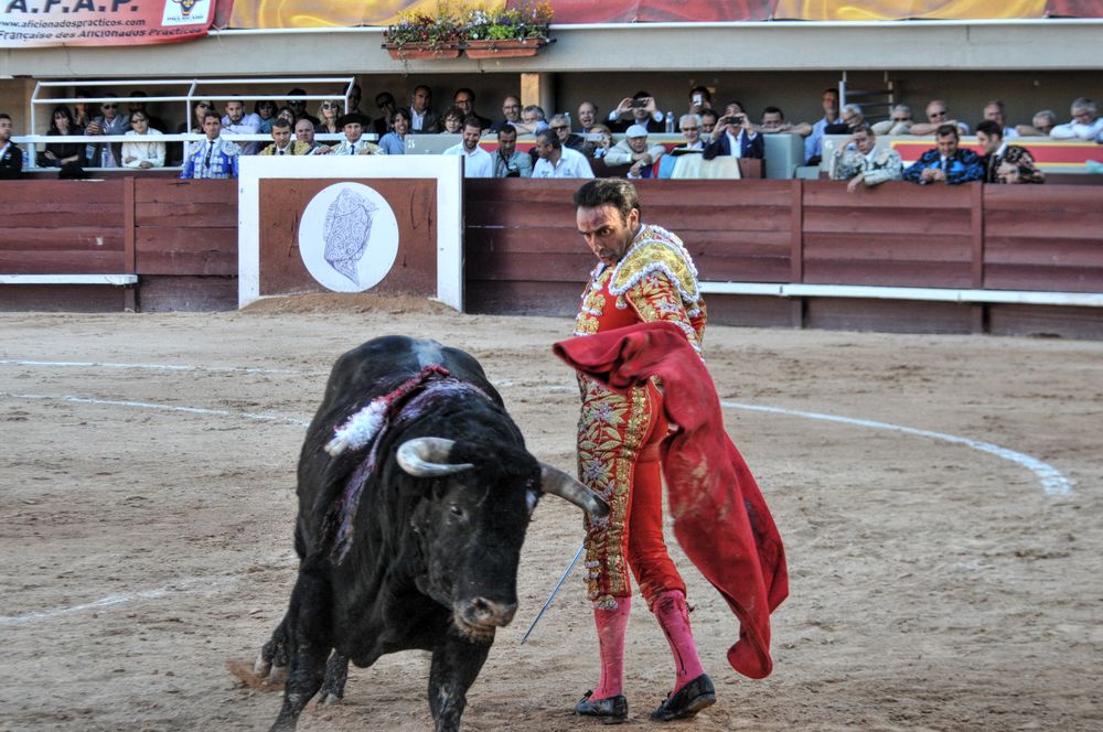 2016cordimamistres (187)