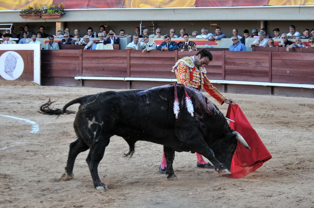 2016cordimamistres (188)