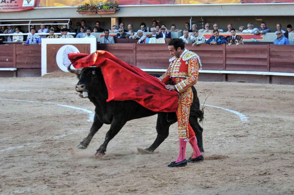 2016cordimamistres (189)