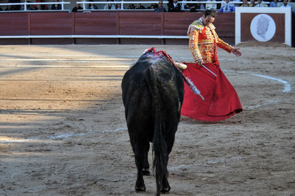 2016cordimamistres (190)