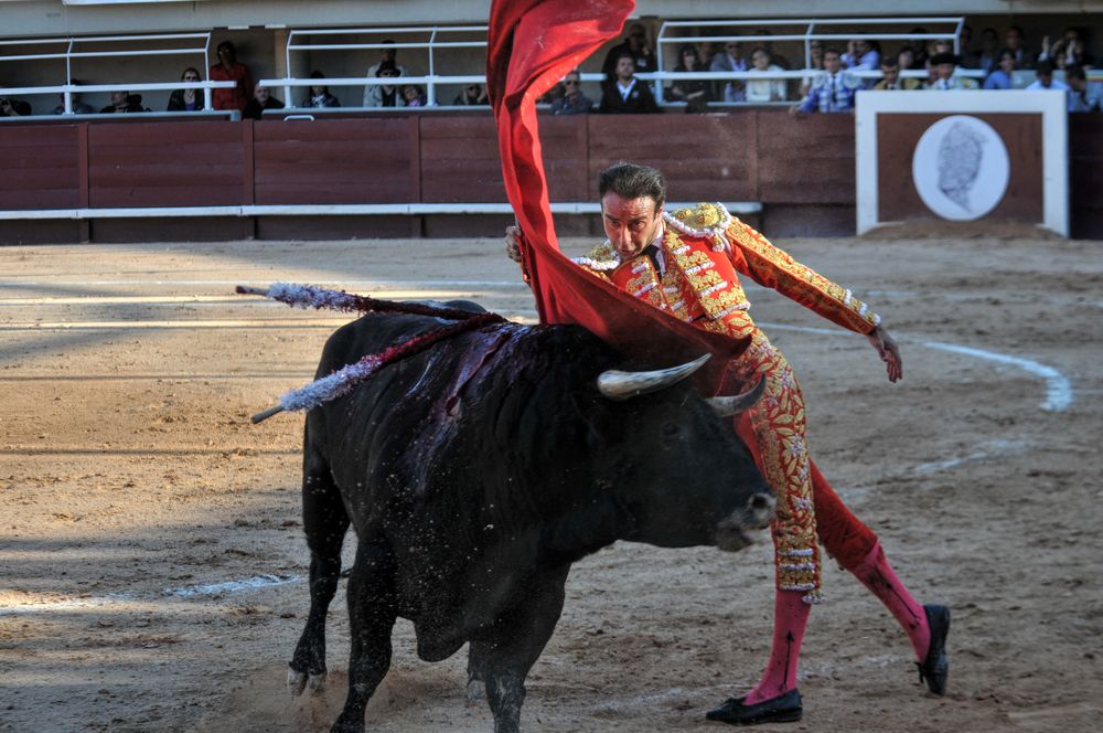 2016cordimamistres (192)