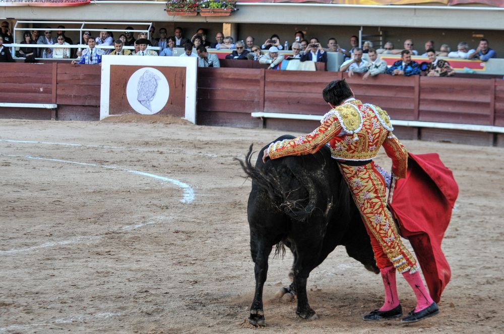 2016cordimamistres (193)