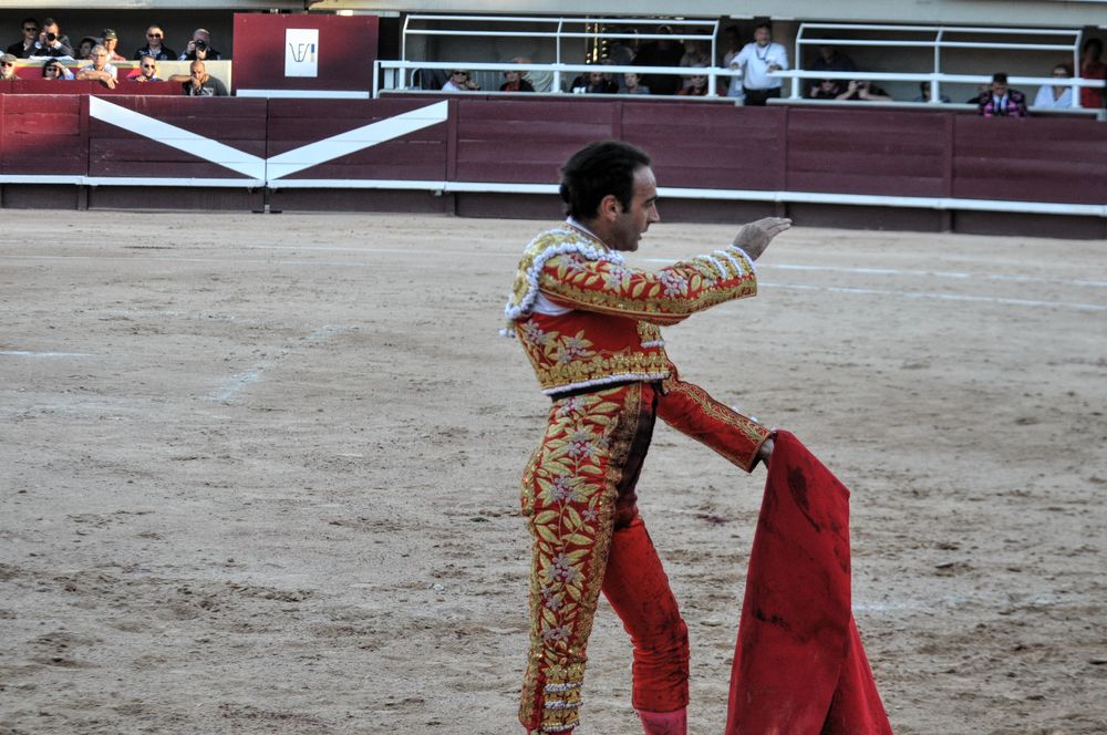 2016cordimamistres (20)