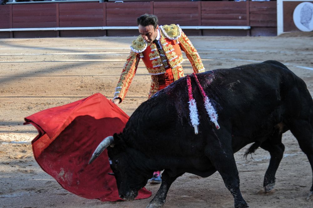 2016cordimamistres (206)