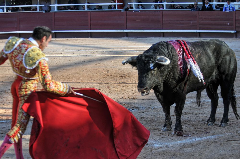 2016cordimamistres (208)