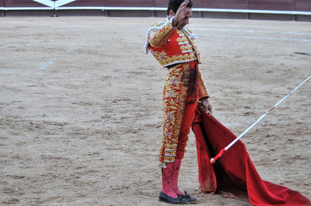 2016cordimamistres (21)