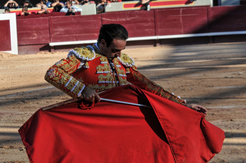 2016cordimamistres (211)