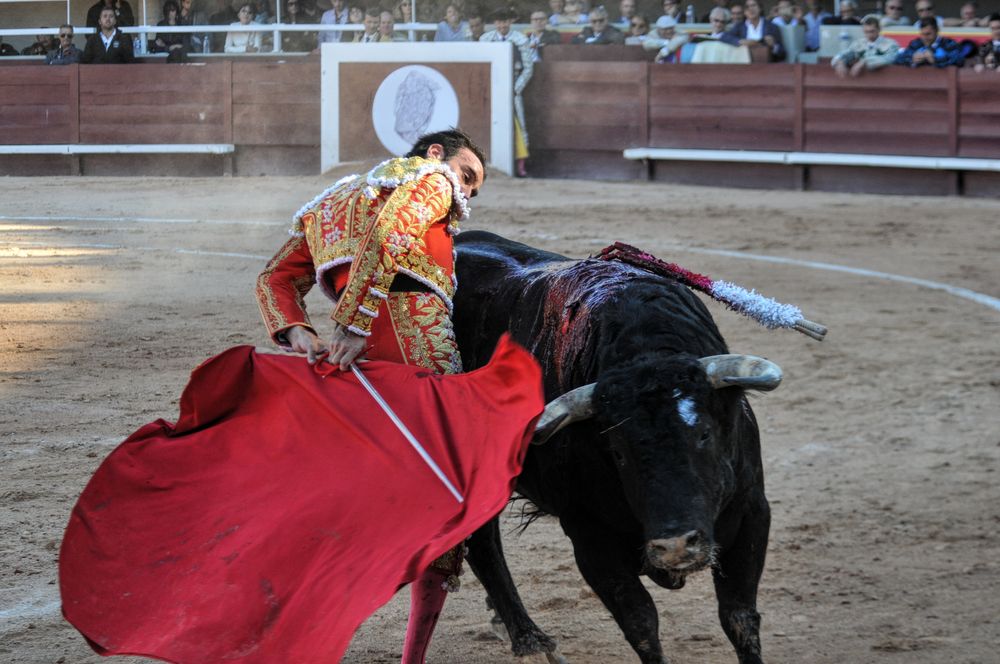 2016cordimamistres (213)