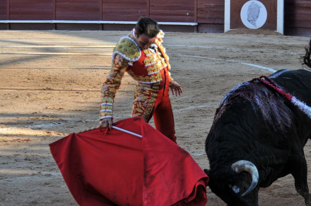 2016cordimamistres (215)