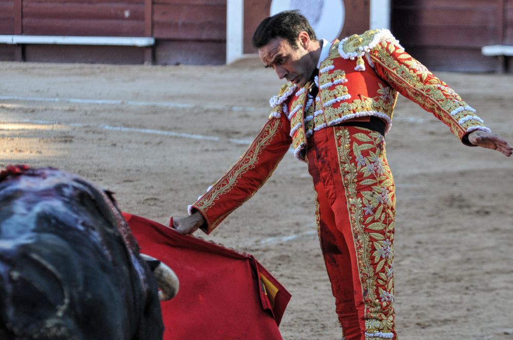 2016cordimamistres (216)