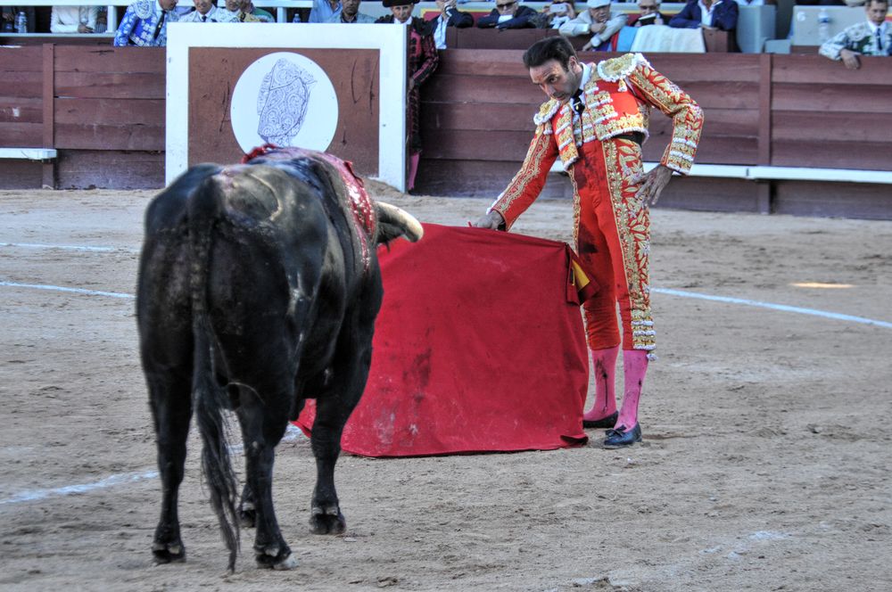 2016cordimamistres (220)